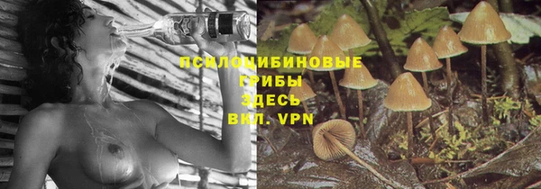 дурь Абдулино