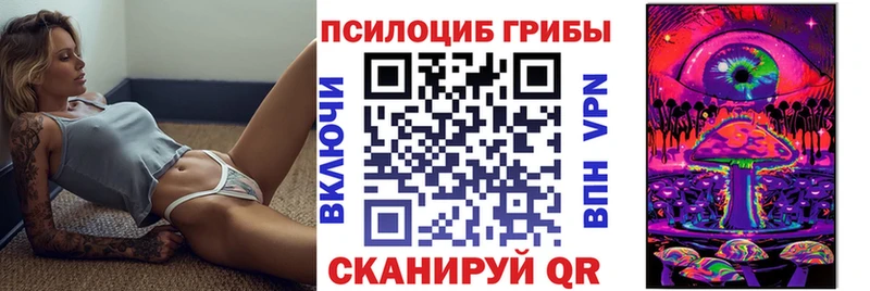 купить закладку  Оса  Псилоцибиновые грибы Cubensis 
